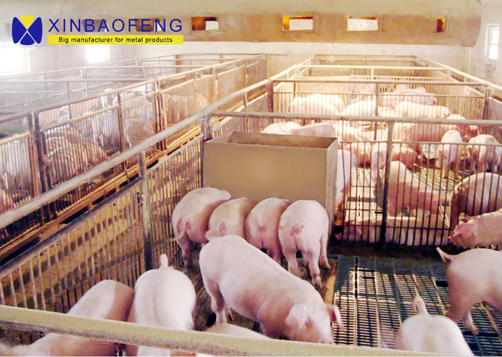 Pig Farm Turnkey Project Design and Equipment