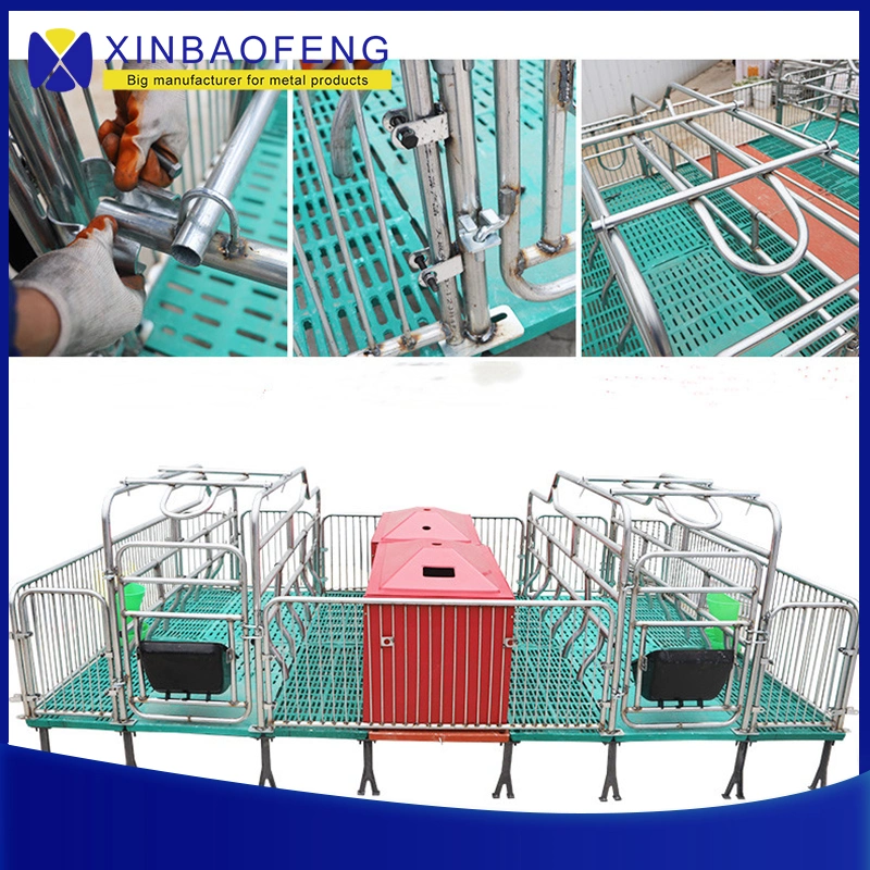 Pig Farm Turnkey Project Design and Equipment