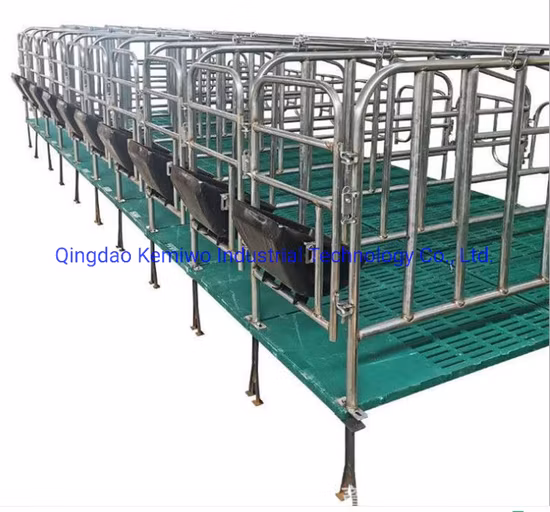 Sow Gestation Crate High Quality Pregnant Pig Gestation Crate in Animal Cage for Sale